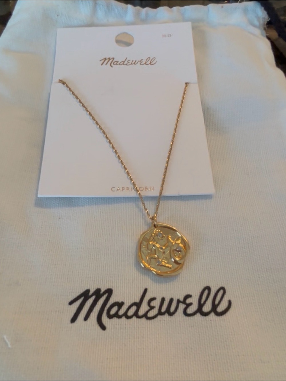 Madewell Gold Capricorn Medallion Necklace